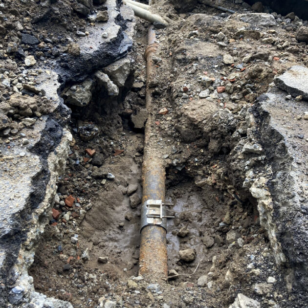 Tree Roots Clogging Underground Pipes